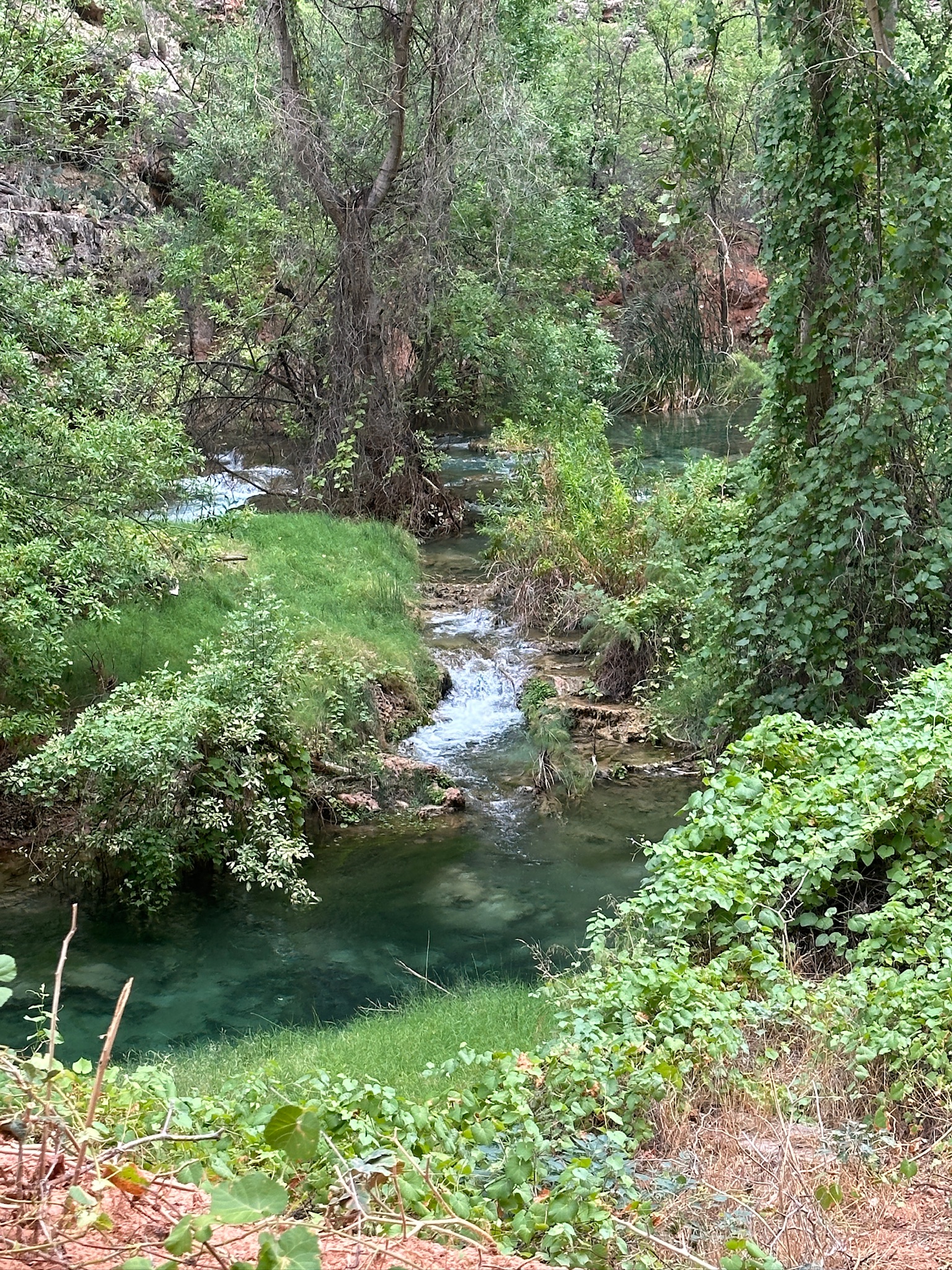 Turquoise pools
