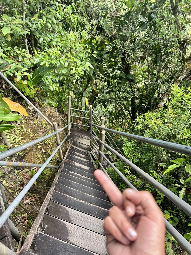 Cascada Machay trail